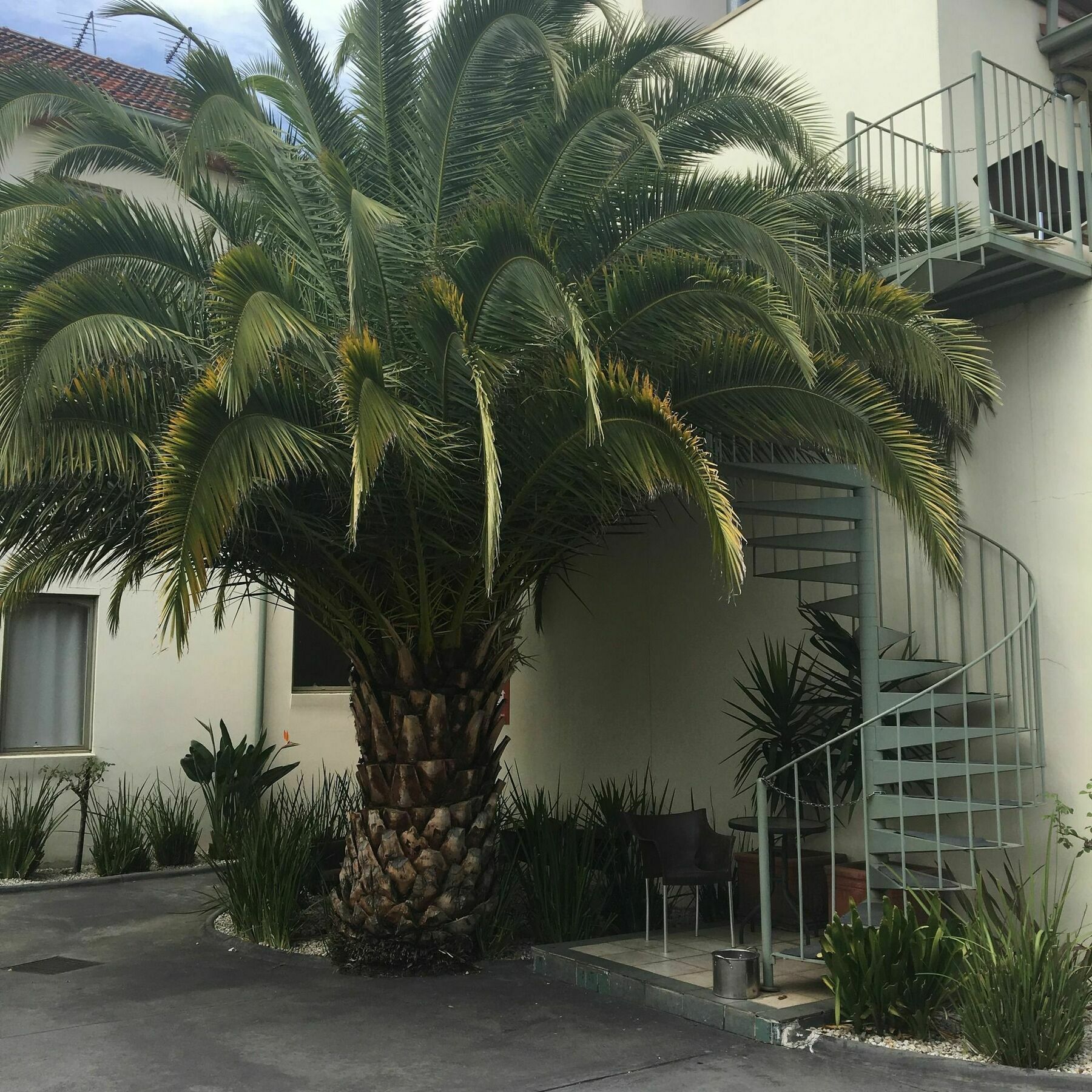 Brunswick Tower Hotel Μελβούρνη Εξωτερικό φωτογραφία